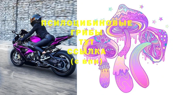 хмурый Сафоново