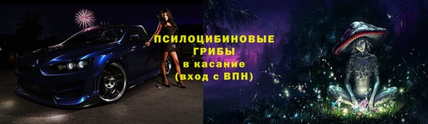 гидропоника Нягань