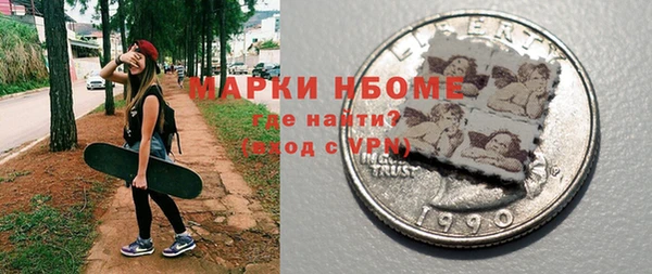 гашик Осинники
