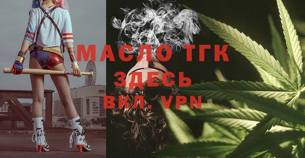 гашик Осинники